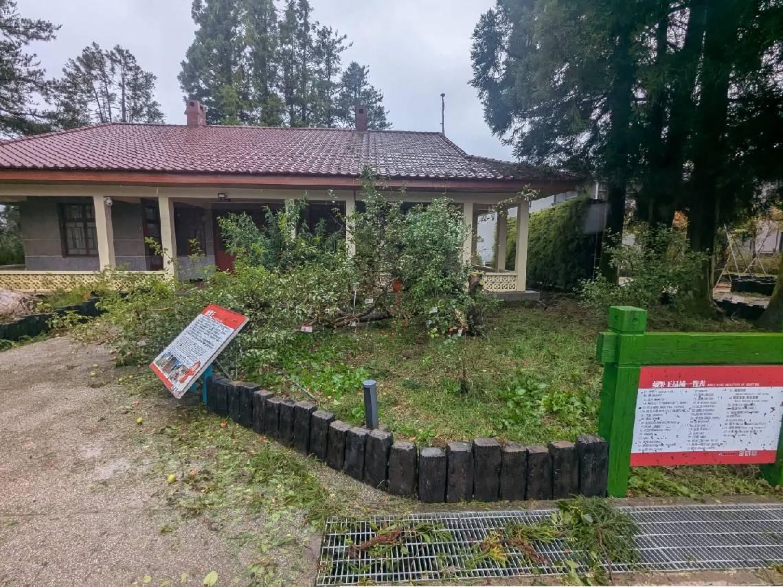 福壽山農場「蘋果王」駕崩了！半世紀「鎮場之寶」一棵樹能產43品種…小編預告：太子將原地登基